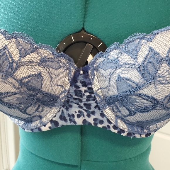 VICTORIA'S SECRET BLUE LACE ANIMAL PRINT BALCONET PUSH UP BRA WOMEN 36B - Picture 2 of 15